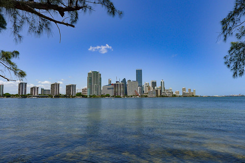 Miami Skyline-002