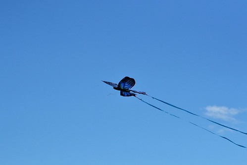 kites summer blue sky