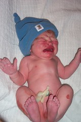 Newborn Nick 