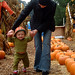 nick learning to walk in the pumpkin patch   dscf6665