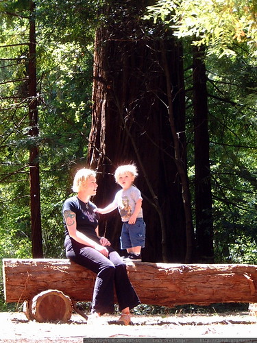 nick standing on a redwood bench beside his mom   dscf8669