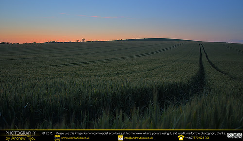 uk sunset england field sussex twilight europe westsussex unitedkingdom farm wheat hdr andrewtijounikond7000