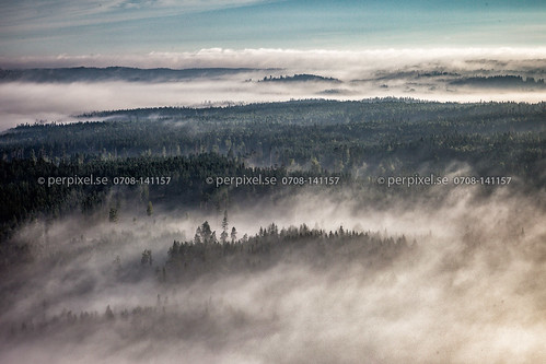 3 törestorp skog flygfoto hillerstorp natur dimma jönköping sverige swe
