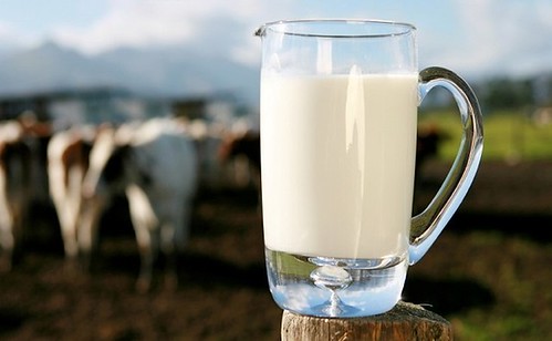 goat-milk-the-healthiest-and-most-similar-to-breast-milk