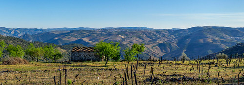 trees panorama mountains tree portugal view hills fields panoramicview trasosmontes lonehouse lonelyhouse