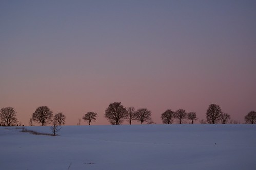 snow schnee harz sky light grass oberharz blue blau violett sunset sonnenuntergang dusk sundown