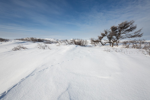 ©alexanderalechits canonef1635mmf4lisusm travelphotography sakhalin nature canoneos5dmarkiii winter snow sky seaofokhotsk coast сахалин побережье остров зима