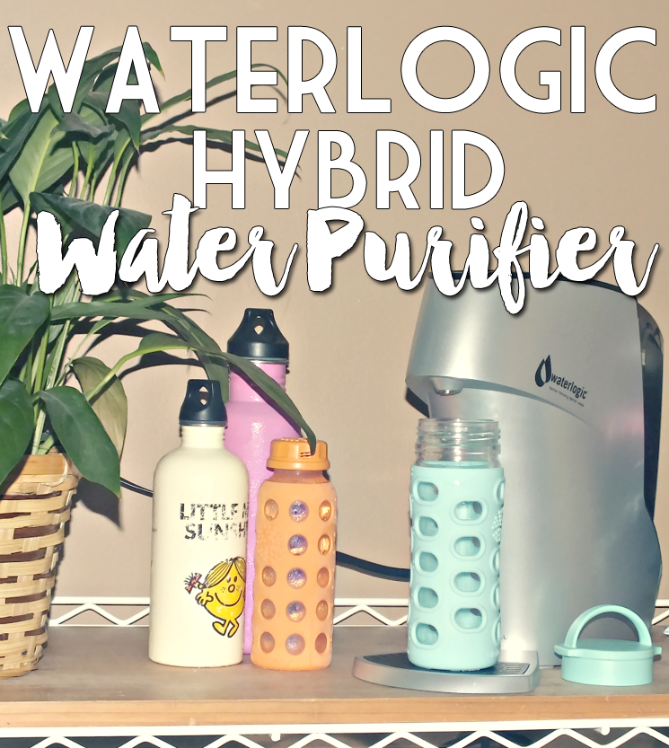 waterlogic hybrid water purifier (1)