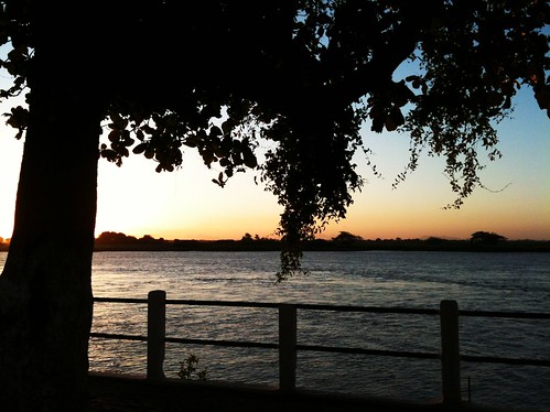 sunset fence river branches silhouettes ripples silhuetas rioparaíbadosul cêrca barradesãojoãorj
