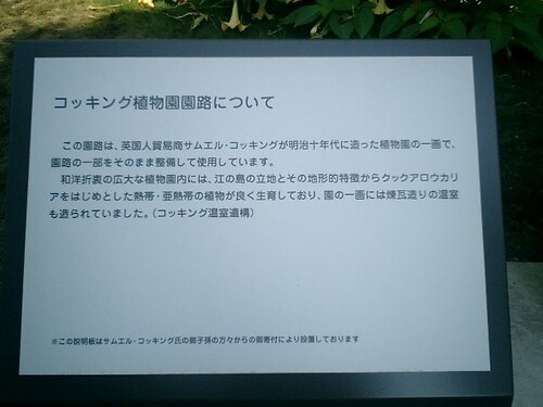 04.11.24 新「江ノ島展望灯台」http://mitch1.blog.so-net.ne.jp/2010-06-29-8