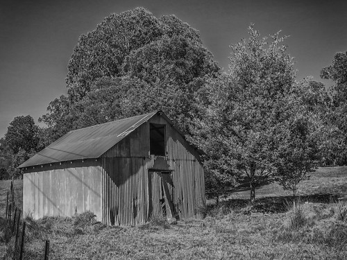 landscape rural shed barn paddock field fence locked iron corro corrugatediron steel bw jamieson victoria