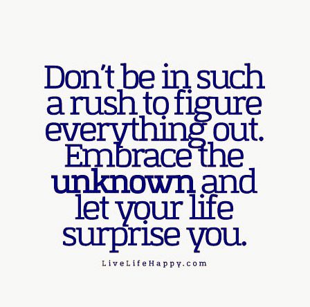 Don’t be in such a rush to figure everything out. Embrace the unknown and let your life surprise you.