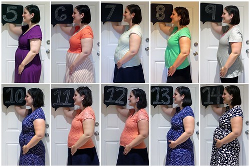 First Trimester Collage