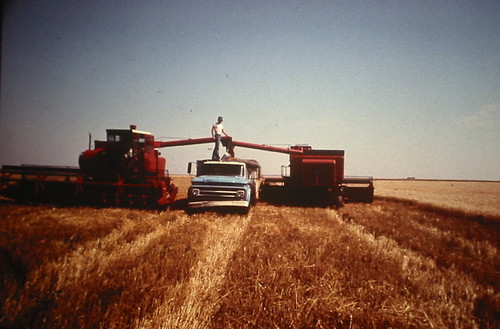 1974 farm wheat harvest combine kansas