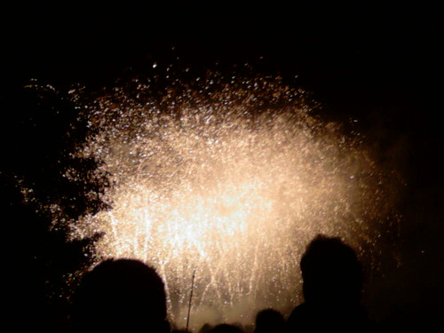 Fireworks @ Preston park
