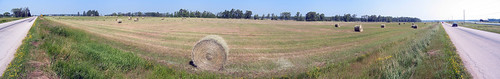 autostitch panorama ontario canada field geotagged farm pano wheat straw 2006 hay agriculture bales bale brucepeninsula views100 perfectpanoramas geolat45045389 geolon81328053