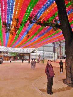 Big Tree at Jogyesa Korean Buddhist Center