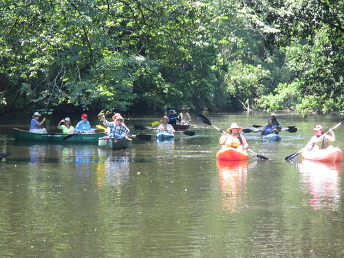 Flotilla on the bayou.