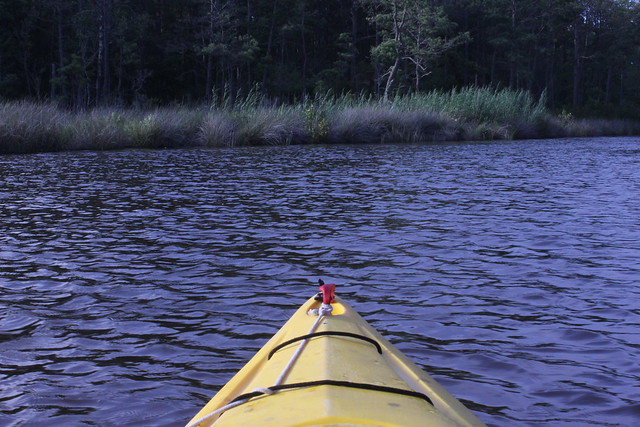 Campers can be participate in scheduled kayak programs. Just be sure to register for the program by calling the park directly and letting them know you are camping and will meet at the Visitor Center at the appropriate time at False Cape State Park, Virginia