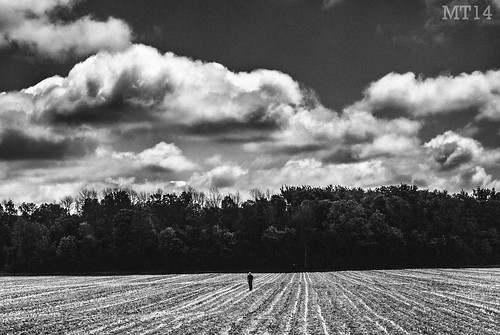 blackandwhite ontario canada man monochrome field silhouette june dark afternoon 2014 matthewtrevithick