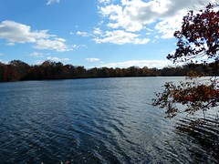 Wantagh - Twin Lakes Preserve - Autumn (34)