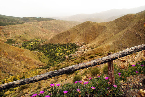 landschap bergen mountails flower bloemen fence hek atsjebosma morocco marokko tizintestpas steil