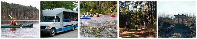 There are lots of programs at False Cape including tram tours, guided hikes, and guided kayak trips. False Cape State Park in Virginia