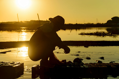 Fisherman at U Bein bridge, Mandalay