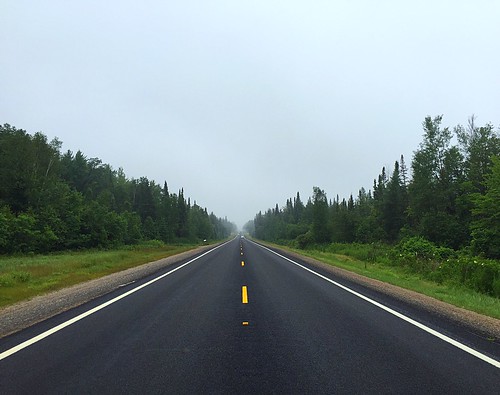 road trip morning trees summer vacation fog forest fun michigan north july m33 pure alpena 2015