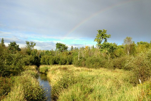 creek rainbow rockyrun