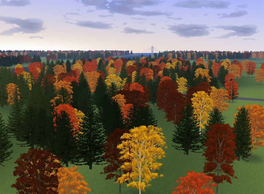 Forest Overview 01