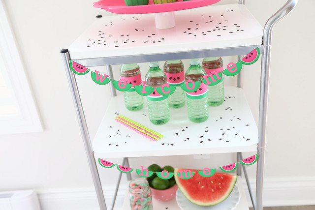 watermelon party