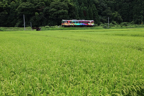 railroad green field japan train landscape countryside kyoto railway tango 京都 日本 maizuru 舞鶴 willertrains 京都丹後鉄道 kyototangorailway