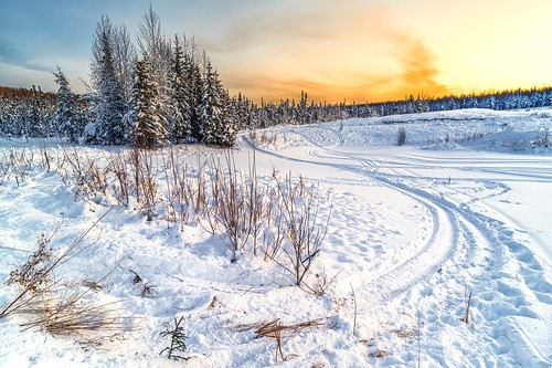 fairbanks alaska unitedstates us snow chandalarranch sunrise tree winter serene orange white outdoor shape lead zeiss carlzeiss milvus milvus2821 milvus2821zf2