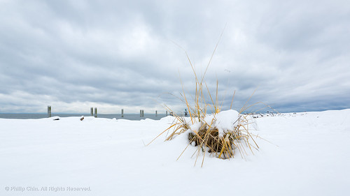 grass landscape winter nature garrypointpark outdoor snow pond vancouver britishcolumbia richmond highkey sky canada clouds outdoors steveston white ca
