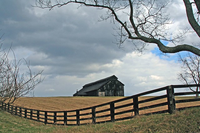 Barn, Fence, and Tree Flickr Photo Sharing!