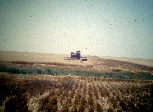 1974 farm wheat harvest combine kansas