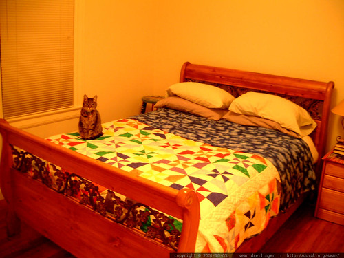 cat on bed   dscf0459