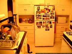 fridge full of photos   dscf0470 