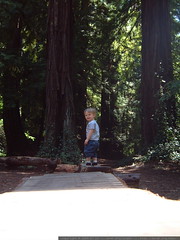 nick, pretending to run away in to the forest   dscf… 