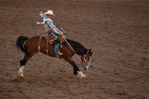 nikon cowboy 2006 riding rodeo d100 saddle bronc 70200mmf28gvr nephi