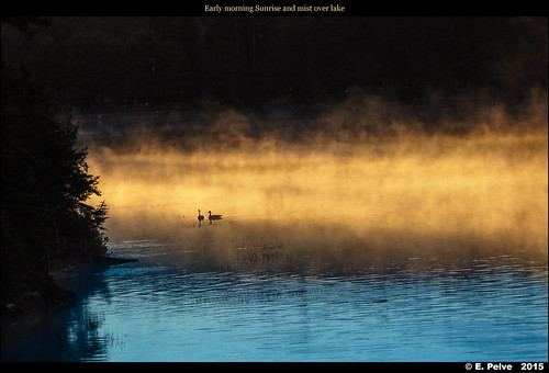 mist lake ontario canada sunrise spring canadageese algonquinpark june2015 olympusomdem1