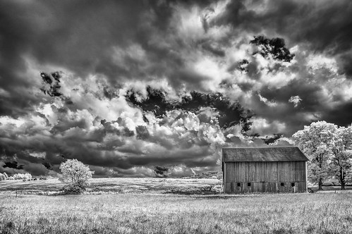 sky clouds barn landscape cows farm sony infrared stormclouds blackwhiteinfrared sonya580 bower14mm28 standardirconversion