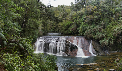 newzealand water creek forest grey waterfall rainforest district nz coal westcoast westland runanga