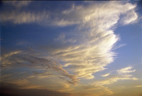 2003 sunset summer bird wisconsin mississippiriver potosi grantriverrecreationarea