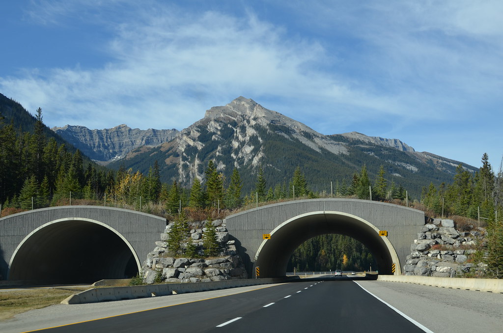 Driving through the Rockies