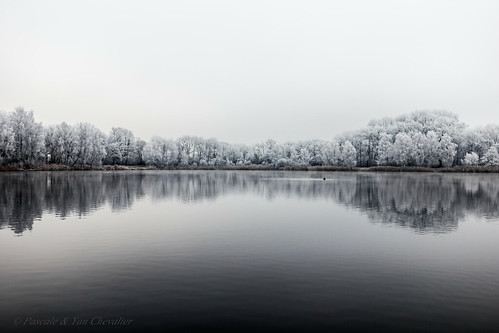 nature landscape sky lake winter fog tree trees white ice snow freezing cold water reflection pale dreamy memories memory hope newyear happynewyear canon 6d 1635 uwa wide angle wideangle photography outdoors outdoor purity pure resolutions lens 2017 dream joy january
