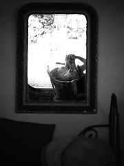 Miroir / Mirrored - Photo of Grandchamp