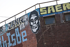 obey giant