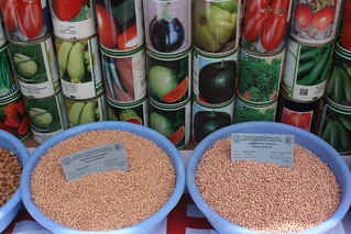 Sorghum and fruit and vegetable seeds exhibited at the fair in Bougouni (Photo credit: ICRISAT / Agathe Diama)